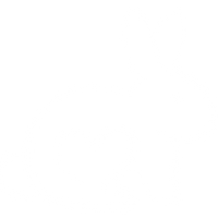 Cruelty-Free & Vegan